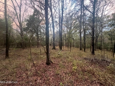 100 Acres of Prime Development or Country Homesite - image 37