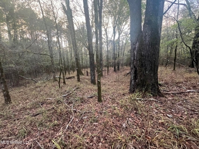 100 Acres of Prime Development or Country Homesite - image 27