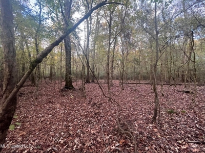 100 Acres of Prime Development or Country Homesite - image 19