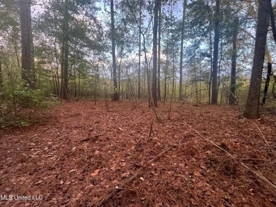 100 Acres of Prime Development or Country Homesite - image 28