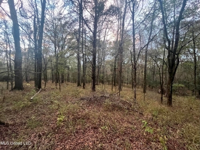 100 Acres of Prime Development or Country Homesite - image 36