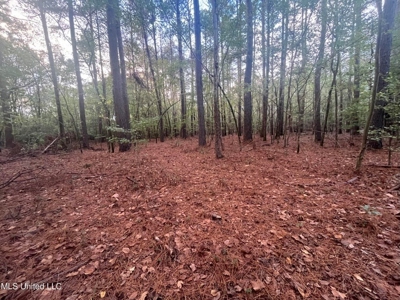 100 Acres of Prime Development or Country Homesite - image 26