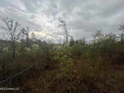 100 Acres of Prime Development or Country Homesite - image 41