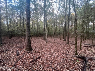 100 Acres of Prime Development or Country Homesite - image 22