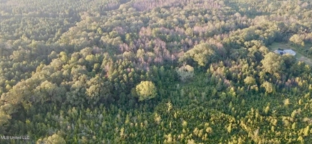100 Acres of Prime Development or Country Homesite - image 9