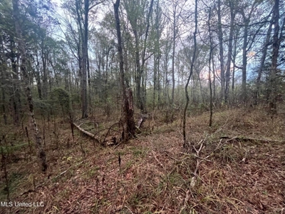 100 Acres of Prime Development or Country Homesite - image 38