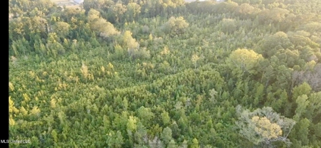 100 Acres of Prime Development or Country Homesite - image 10