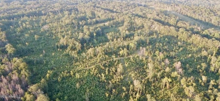 100 Acres of Prime Development or Country Homesite - image 3