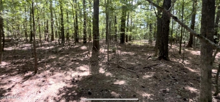 100 Acres of Prime Development or Country Homesite - image 16