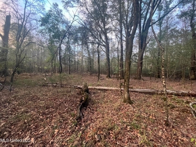 100 Acres of Prime Development or Country Homesite - image 33