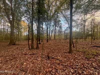 100 Acres of Prime Development or Country Homesite - image 23