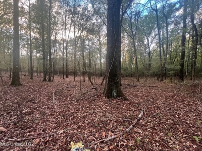 100 Acres of Prime Development or Country Homesite - image 25