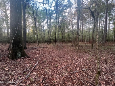 100 Acres of Prime Development or Country Homesite - image 24