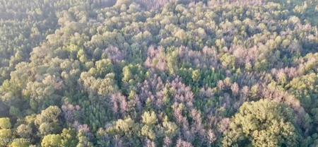 100 Acres of Prime Development or Country Homesite - image 8