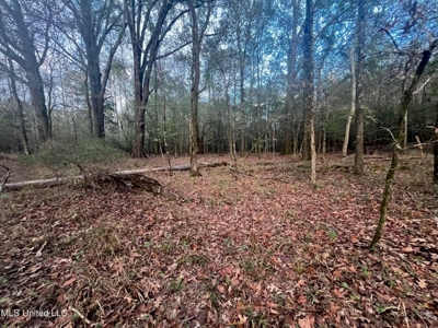 100 Acres of Prime Development or Country Homesite - image 31