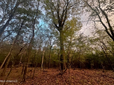 100 Acres of Prime Development or Country Homesite - image 30