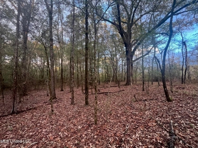 100 Acres of Prime Development or Country Homesite - image 18