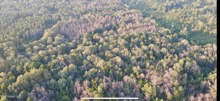 100 Acres of Prime Development or Country Homesite - image 6