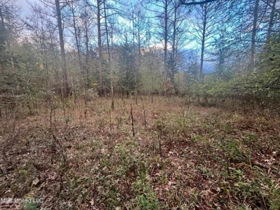 100 Acres of Prime Development or Country Homesite - image 29
