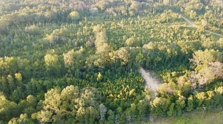 100 Acres of Prime Development or Country Homesite - image 1