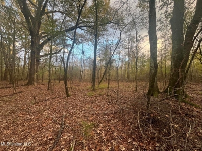 100 Acres of Prime Development or Country Homesite - image 21