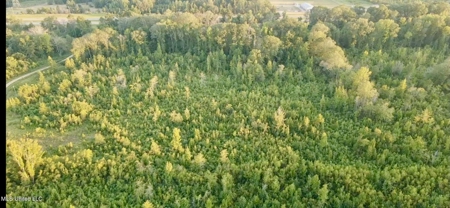 100 Acres of Prime Development or Country Homesite - image 11