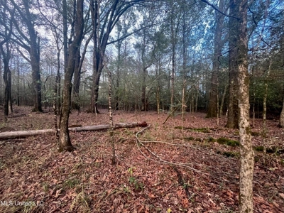 100 Acres of Prime Development or Country Homesite - image 32