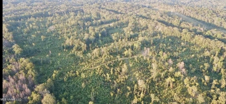100 Acres of Prime Development or Country Homesite - image 4