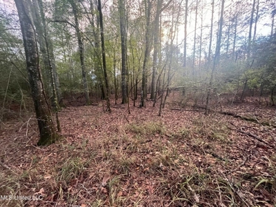 100 Acres of Prime Development or Country Homesite - image 35