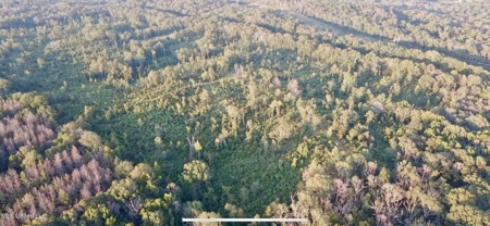 100 Acres of Prime Development or Country Homesite - image 5