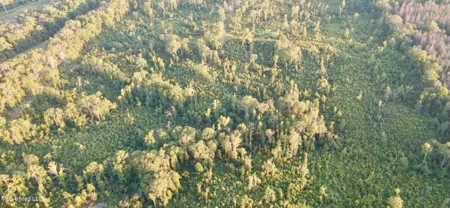 100 Acres of Prime Development or Country Homesite - image 13