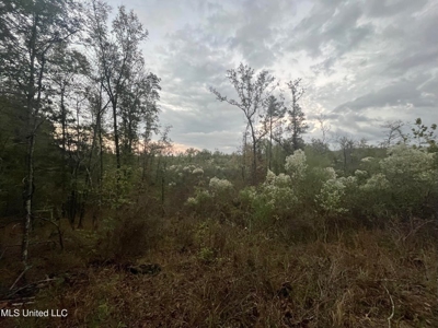 100 Acres of Prime Development or Country Homesite - image 43