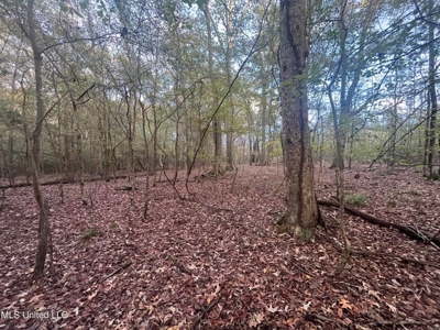 100 Acres of Prime Development or Country Homesite - image 20