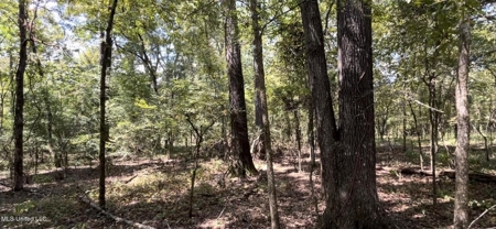 100 Acres of Prime Development or Country Homesite - image 17