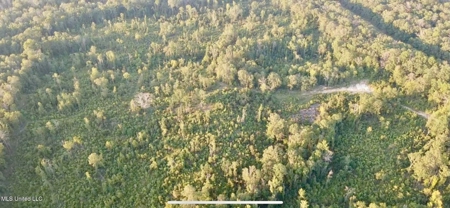 100 Acres of Prime Development or Country Homesite - image 2