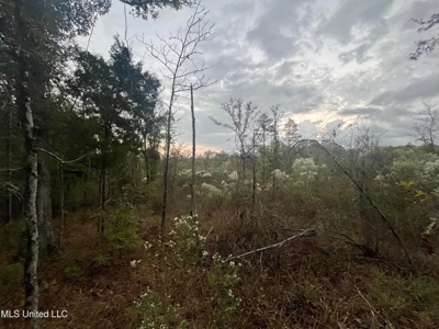 100 Acres of Prime Development or Country Homesite - image 40