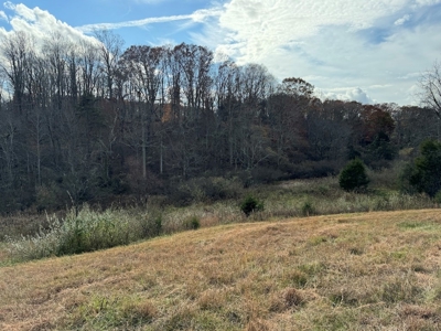 Land and Home for Sale in Christiansburg VA - image 40