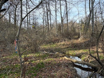 Land and Home for Sale in Christiansburg VA - image 42