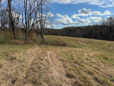 Land and Home for Sale in Christiansburg VA - image 39