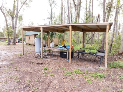 Off Grid Homestead With Underground Home In North Florida! - image 41