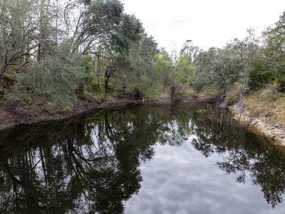 Off Grid Homestead With Underground Home In North Florida! - image 49