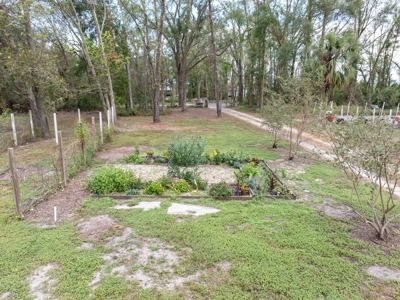 Off Grid Homestead With Underground Home In North Florida! - image 36