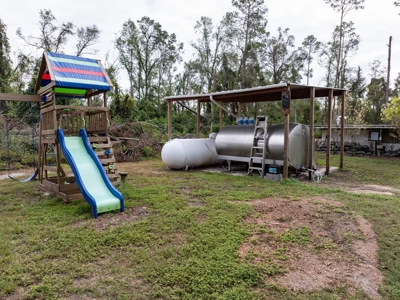 Off Grid Homestead With Underground Home In North Florida! - image 38