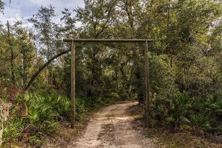 Country Home For Sale in Chiefland Florida! - image 1