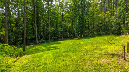 Creekside Country Retreat on 10+ Scenic Acres-Bullock, NC - image 20