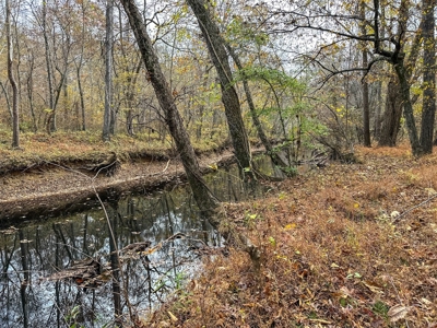 Creekside Country Retreat on 10+ Scenic Acres-Bullock, NC - image 21