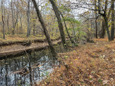 Creekside Country Retreat on 10+ Scenic Acres-Bullock, NC - image 49