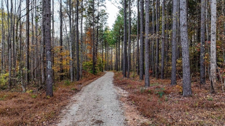 Creekside Country Retreat on 10+ Scenic Acres-Bullock, NC - image 12