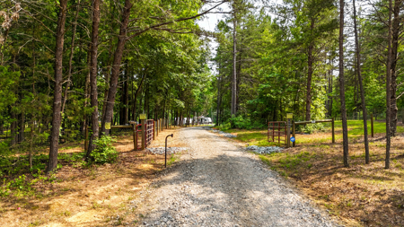 Creekside Country Retreat on 10+ Scenic Acres-Bullock, NC - image 23