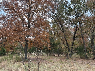 Land For Sale in Powderly TX, Lamar County TX - image 7